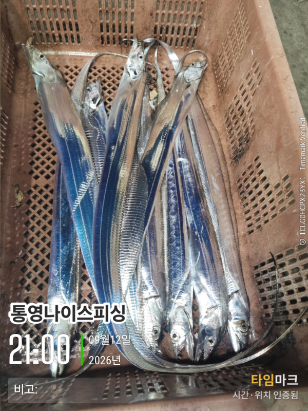 2026-09-12 21.00.04__(통영나이스피싱)_(비고-).jpg