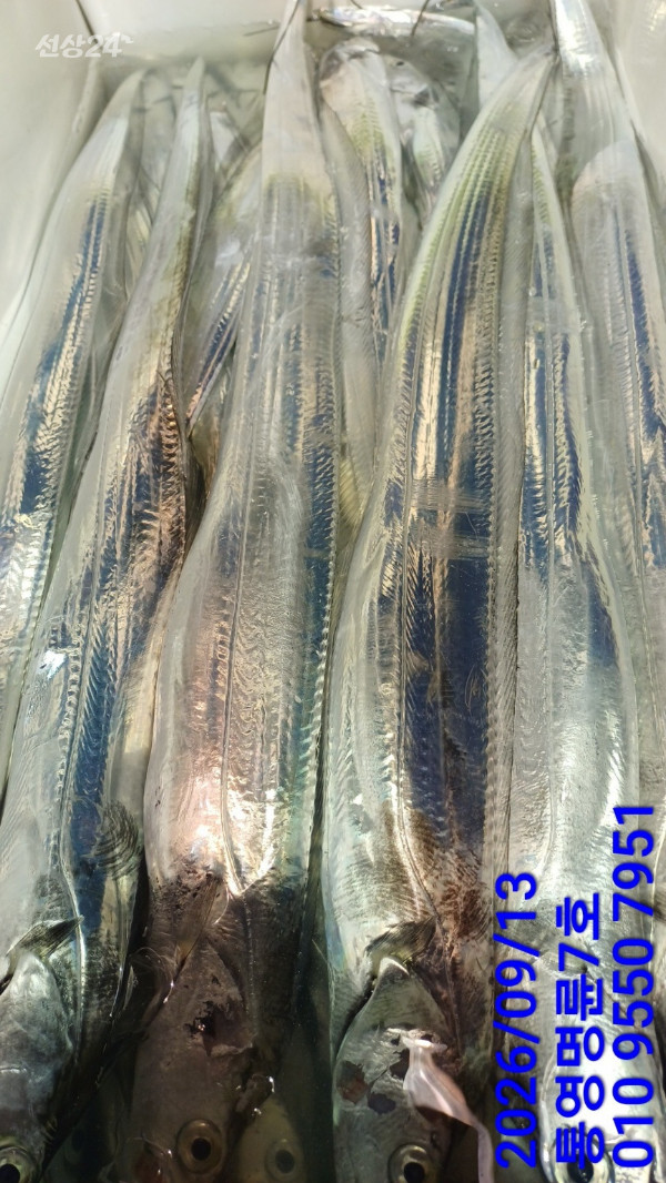 KakaoTalk_20260913_055224178_11.jpg