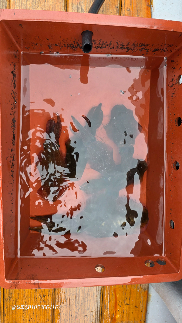 20260912_125303.jpg