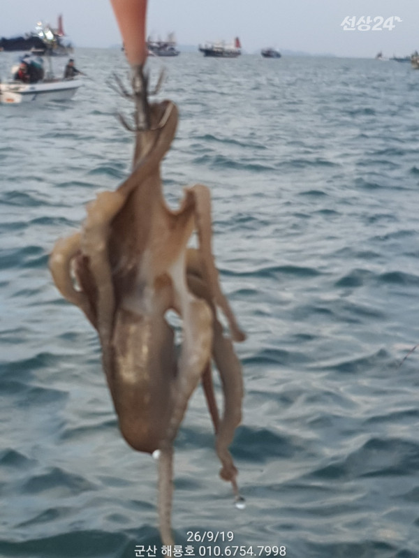 18 (2)_b.jpg