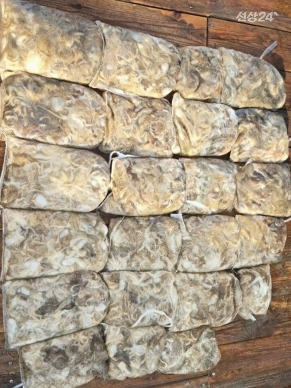 10 (2)_b.jpg