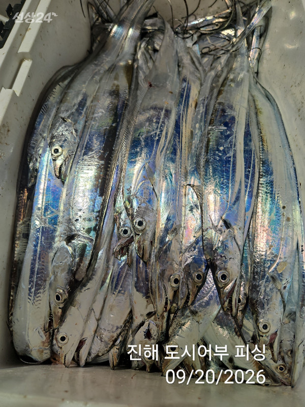 KakaoTalk_20260920_052035482_17.jpg