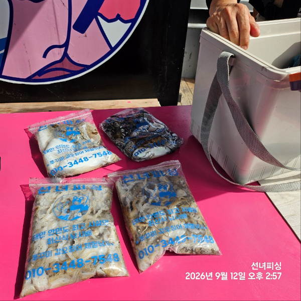 KakaoTalk_20260912_161213702_01.jpg