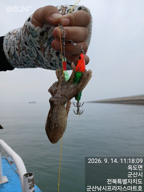 KakaoTalk_20260914_112034769_02.jpg