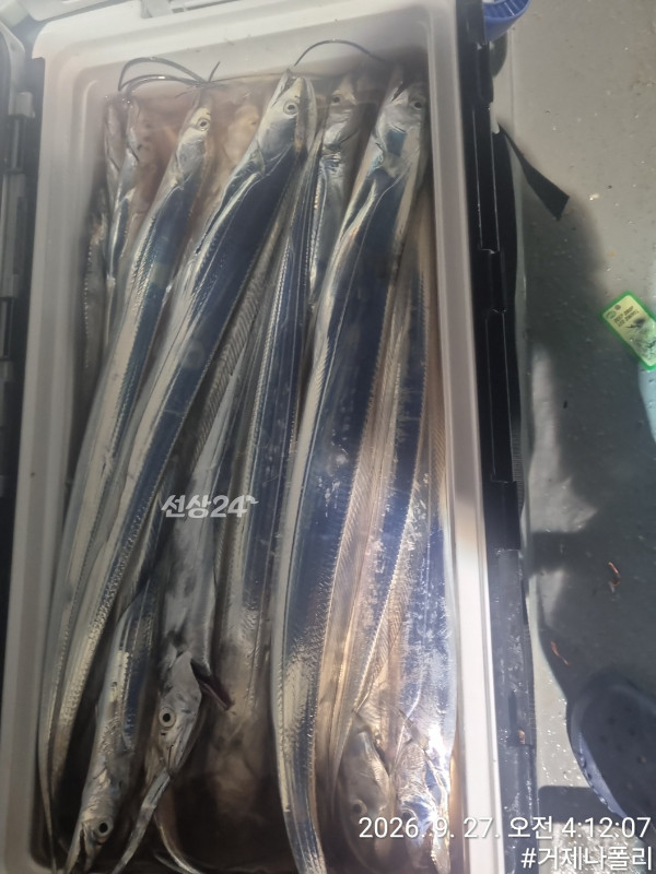 KakaoTalk_20260927_141821585_05.jpg
