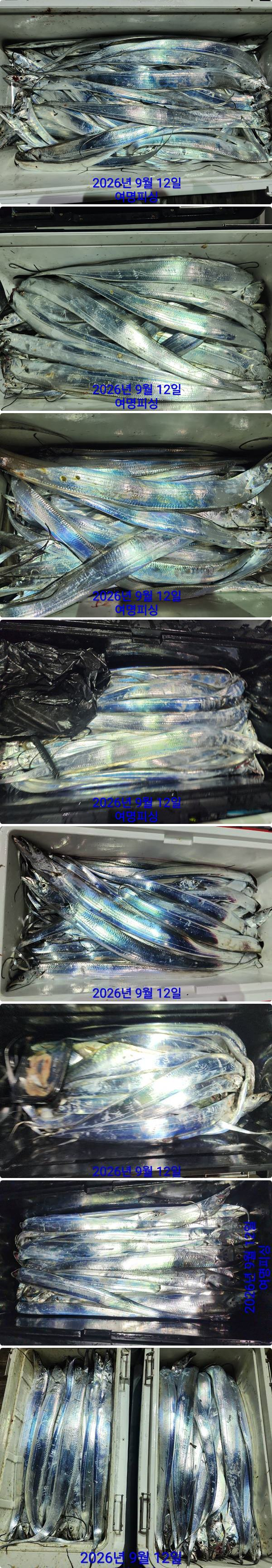 12일갈치하1.jpg