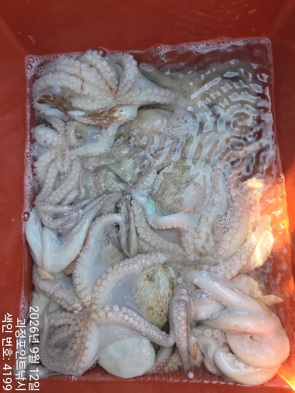 KakaoTalk_20260913_150126634_08.jpg