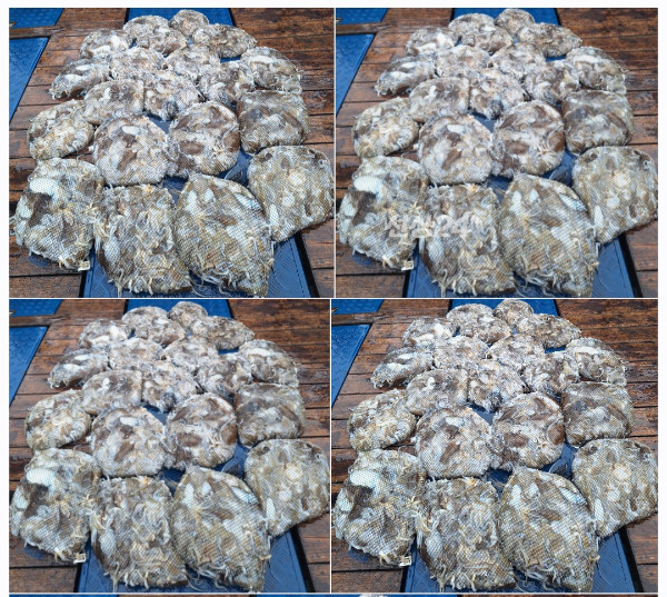1000081375.jpg