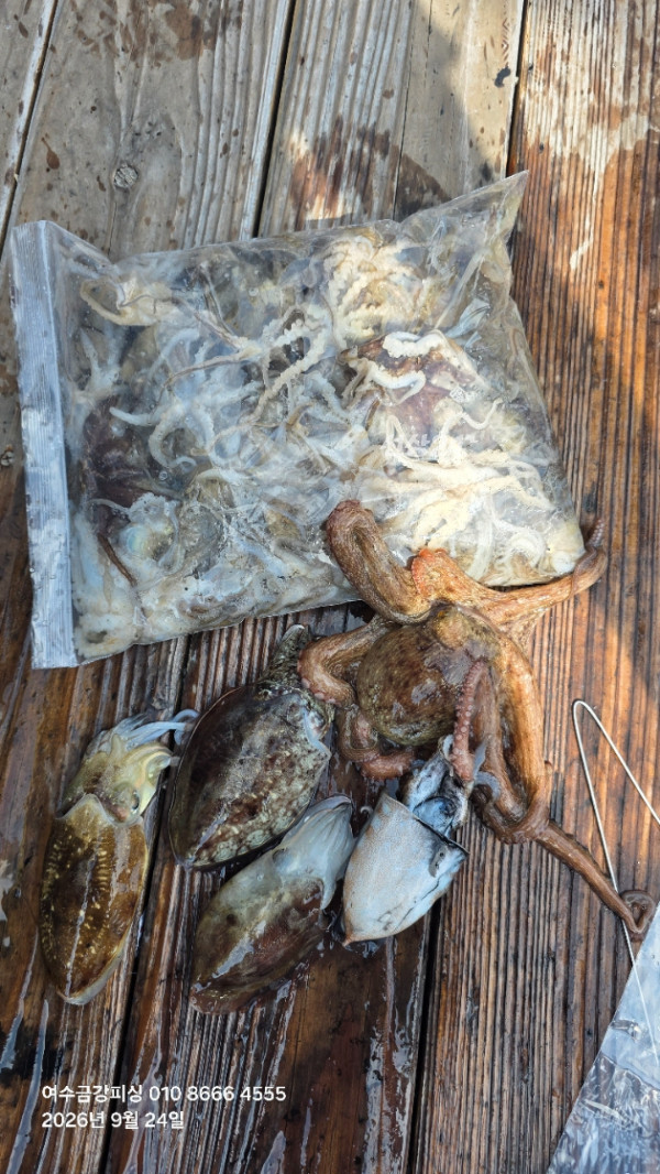 여수금강피싱_사진_20260924_8.jpg