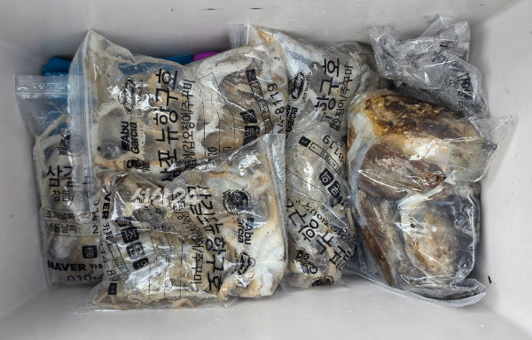 2689.jpg