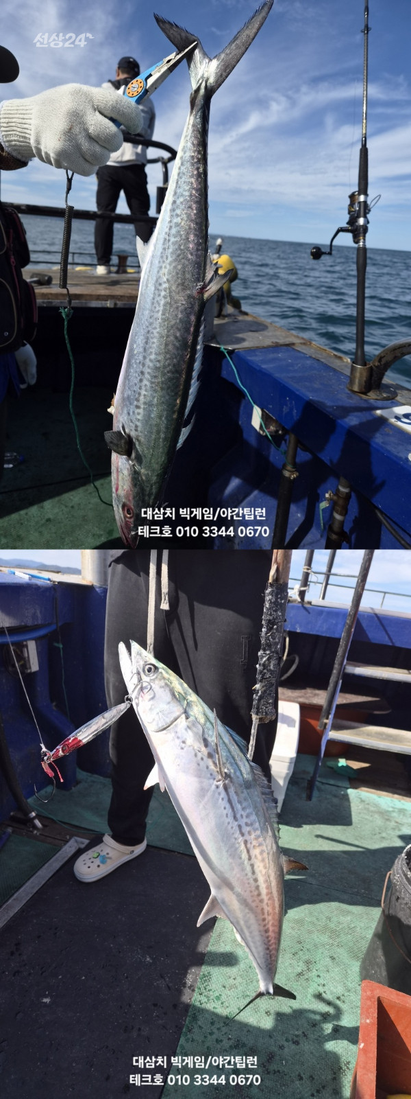KakaoTalk_20260923_194938179_21-vert.jpg