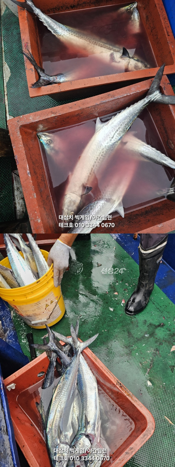 KakaoTalk_20260926_165112542_11-vert.jpg
