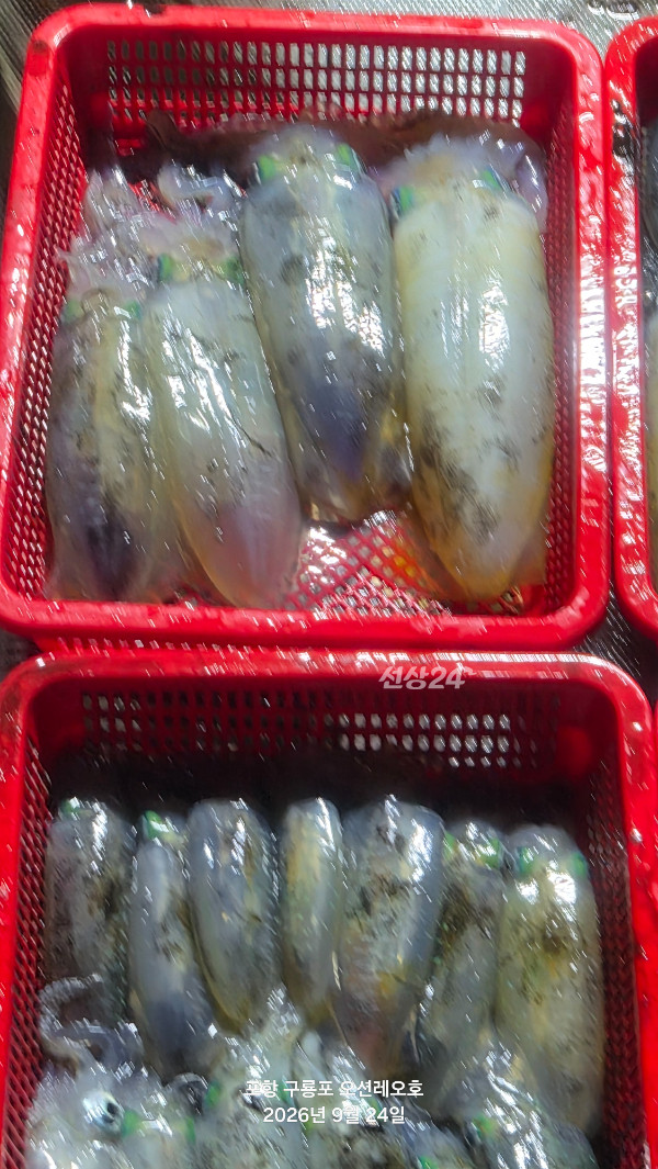 20260924_234916.jpg