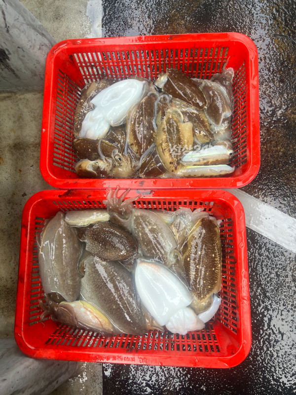 KakaoTalk_20260927_184701866_06.jpg