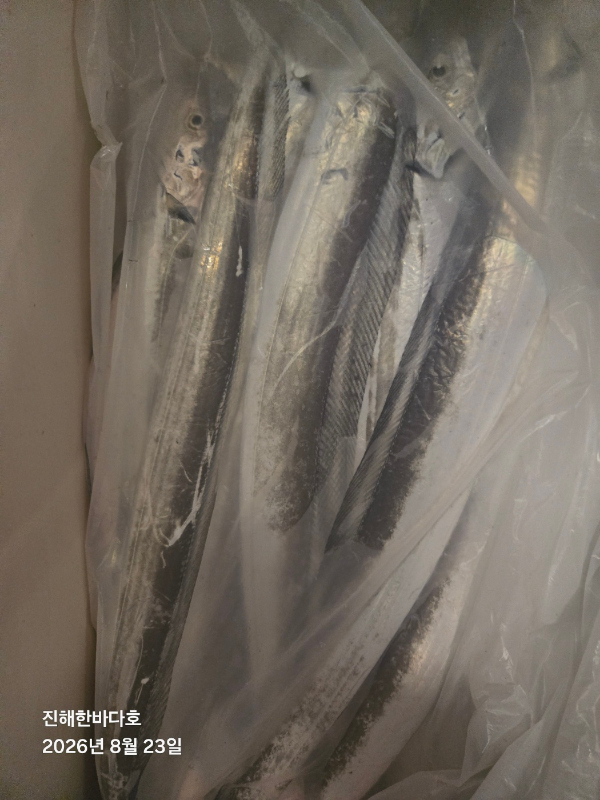 KakaoTalk_20260908_134900913_09.jpg