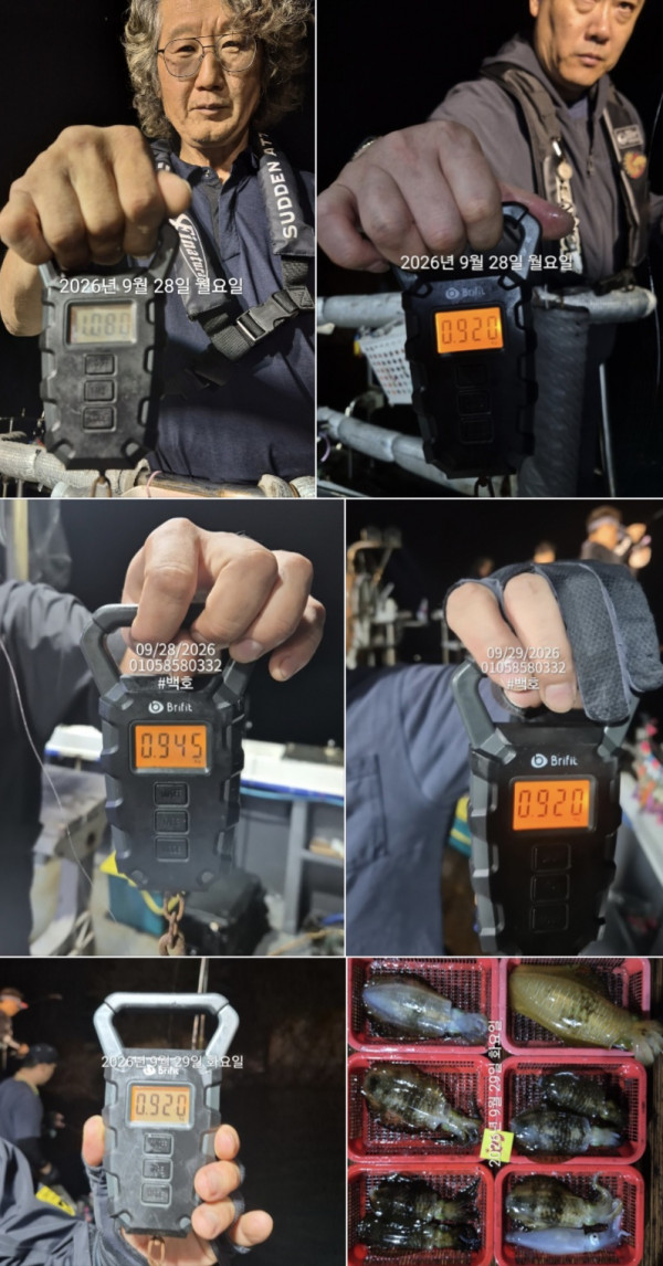 88075.jpg