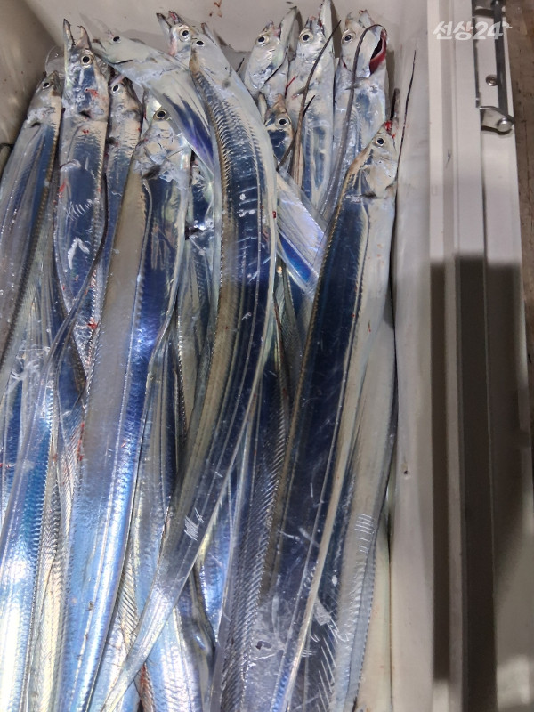 1004피싱_사진_20260919_4.jpeg