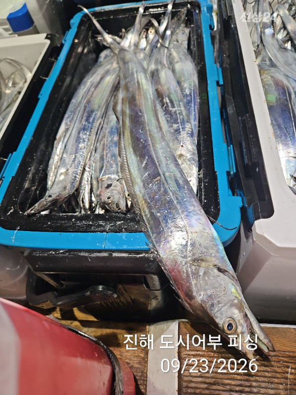 KakaoTalk_20260923_062051575_12.jpg