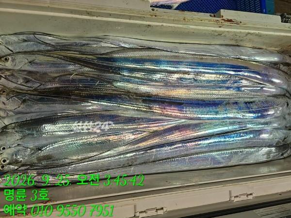 KakaoTalk_20260925_074709719_14.jpg