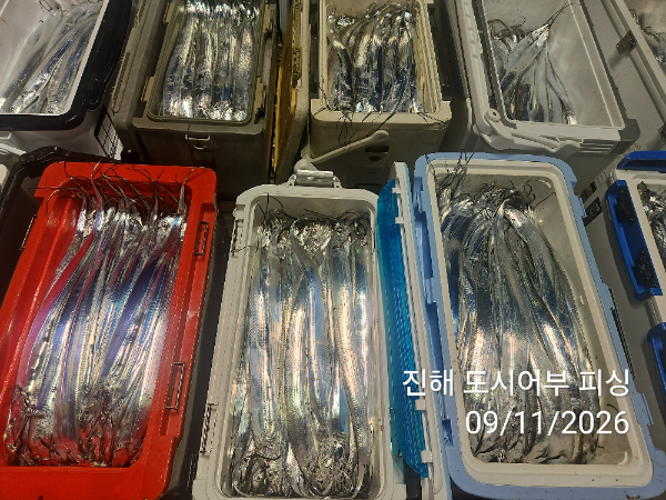 KakaoTalk_20260911_050759490_11.jpg