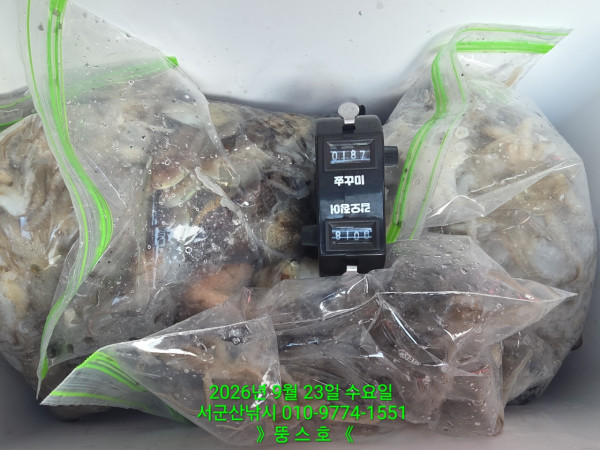 군산 선상낚시, 바다낚시 출조 전문 ☆서군산낚시☆_사진_20260923_6.jpg