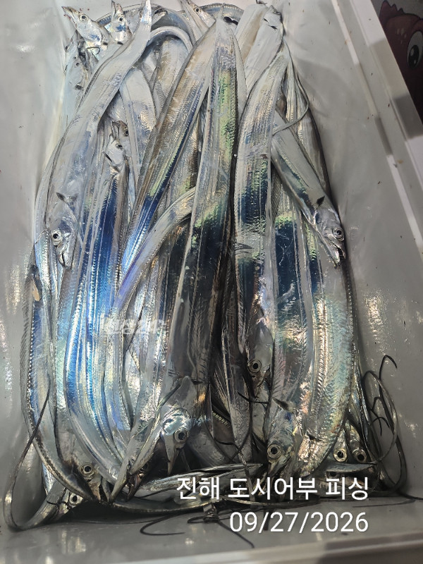 KakaoTalk_20260927_050422422_15.jpg