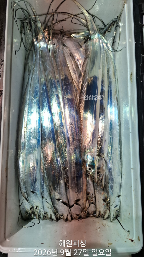 1000037022.jpg