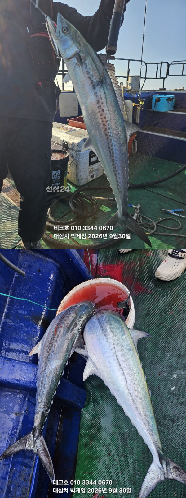 KakaoTalk_20260930_081926511-vert.jpg