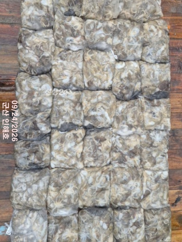10 (2)_b.jpg