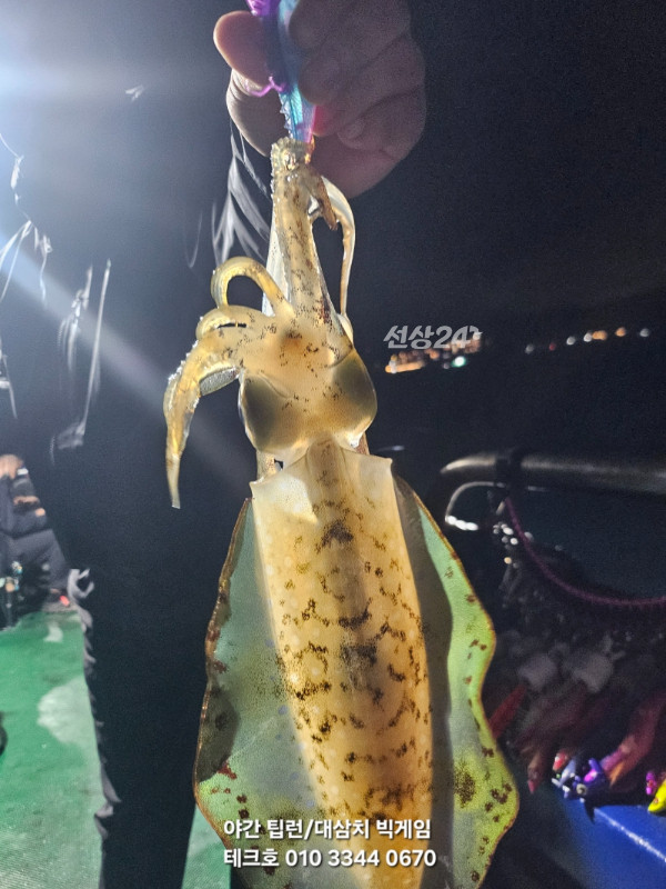 KakaoTalk_20260927_070440410_08.jpg