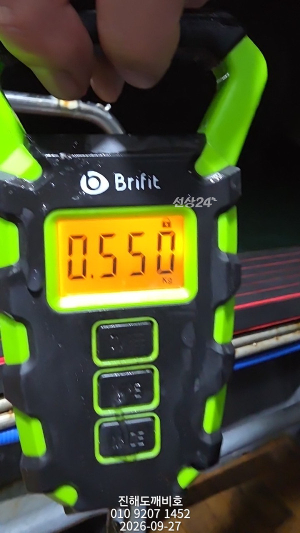 8633.jpg