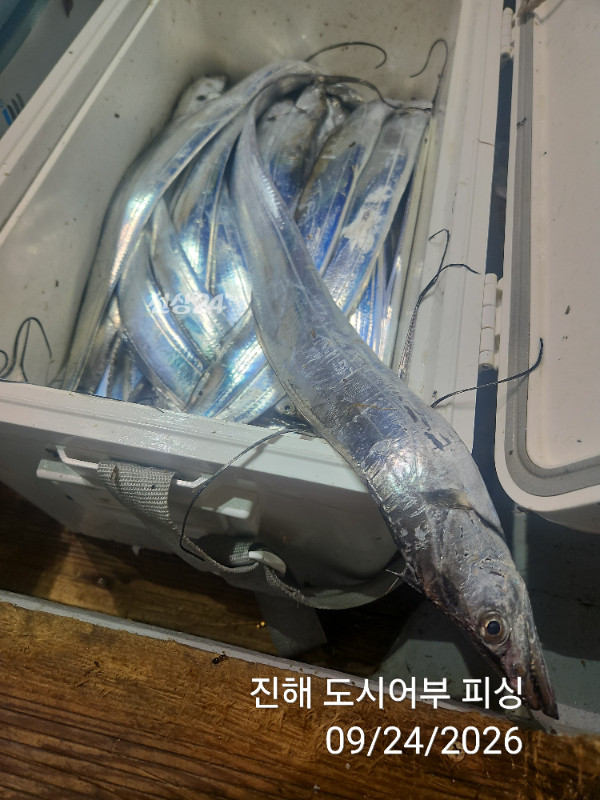 KakaoTalk_20260924_050456578_14.jpg