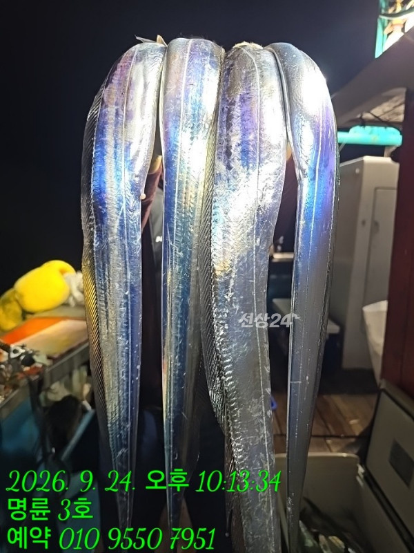 KakaoTalk_20260925_074709719_01.jpg
