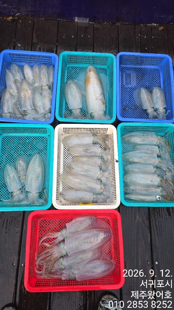 제주왔어호_사진_20260912_2.jpg