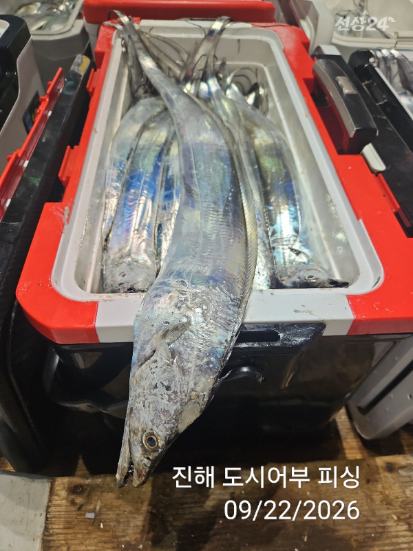 KakaoTalk_20260922_052858939_17.jpg