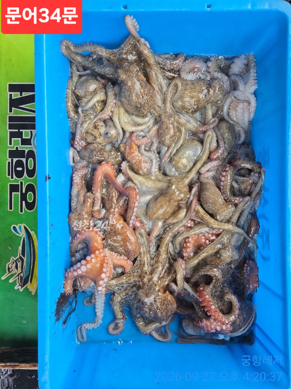 1790507893996.jpg