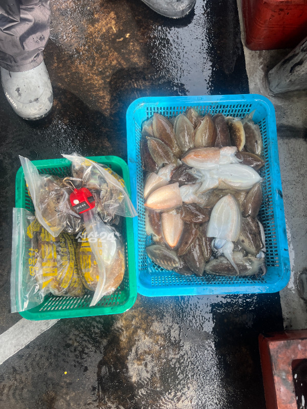 KakaoTalk_20260927_184701866_09.jpg