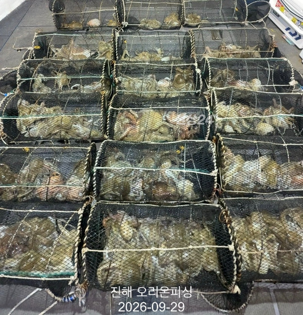 KakaoTalk_20260929_084857657_09.jpg