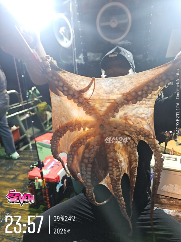 g_a0fUd018svclr2aijpxlhal_82sd02.jpg