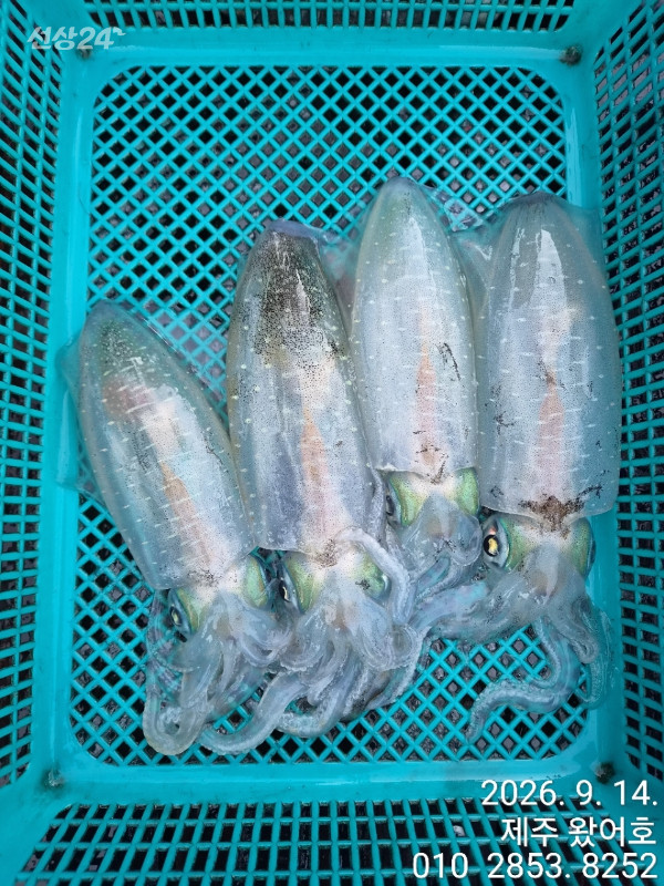 제주왔어호_사진_20260914_17.jpg