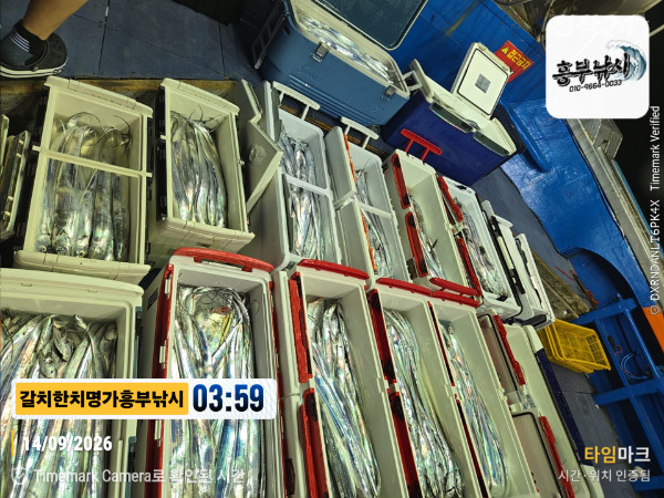 2026-09-14 03.59.54__(제목-갈치한치명가흥부낚시).jpg