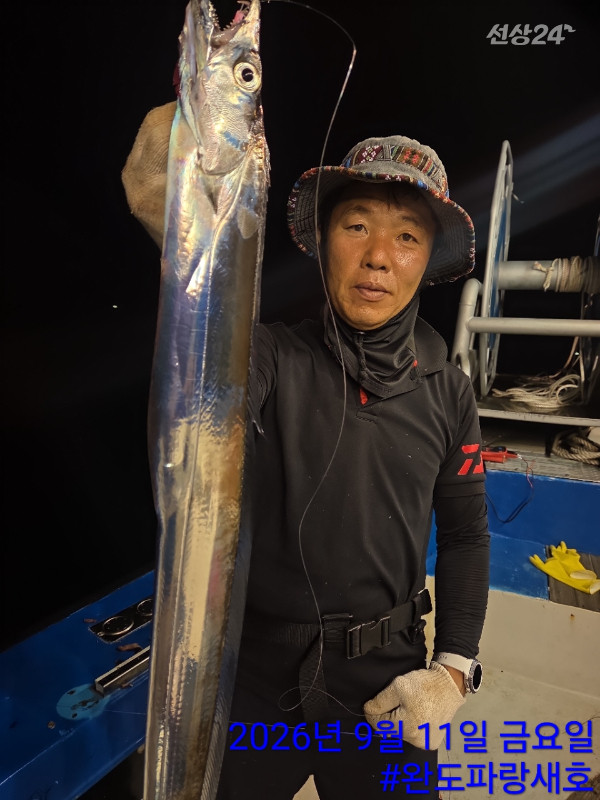 완도파랑새호(블루버드)_사진_20260912_5.jpg