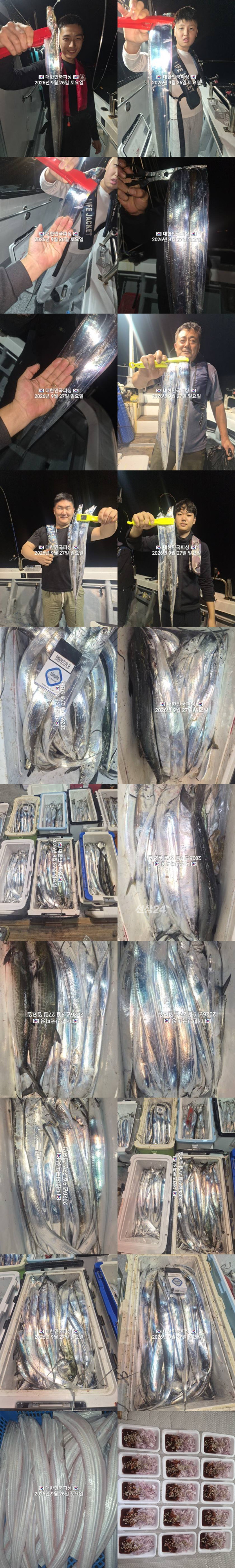 갈치1.jpg