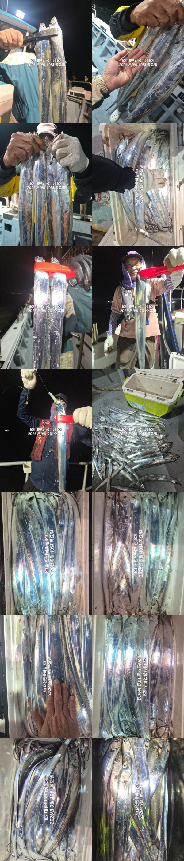 갈치1.jpg