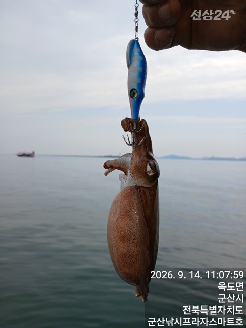 KakaoTalk_20260914_112034769_04.jpg