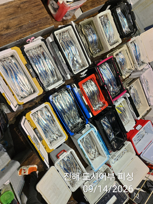 KakaoTalk_20260914_045414421_14.jpg
