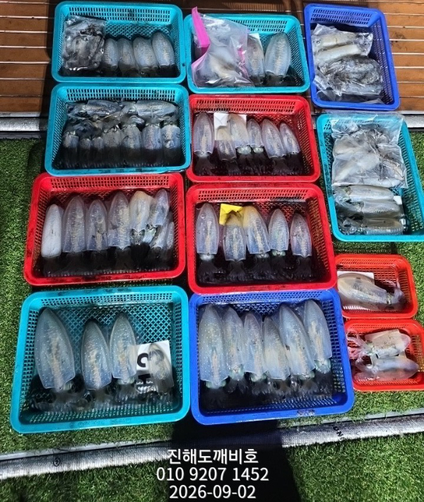 7441.jpg