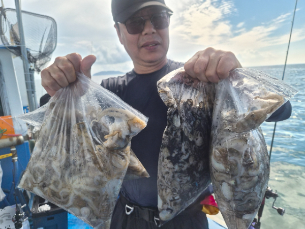 Resized_20260902_152142.jpeg