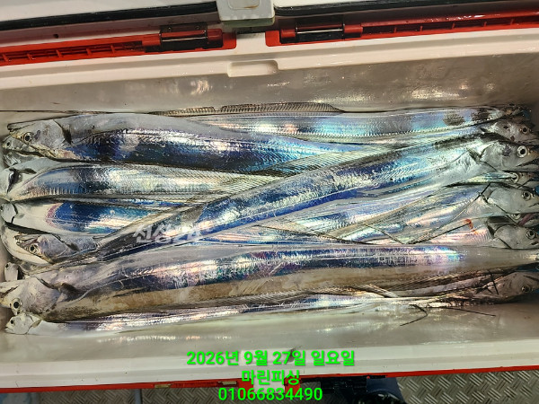 KakaoTalk_20260927_054010328_22.jpg