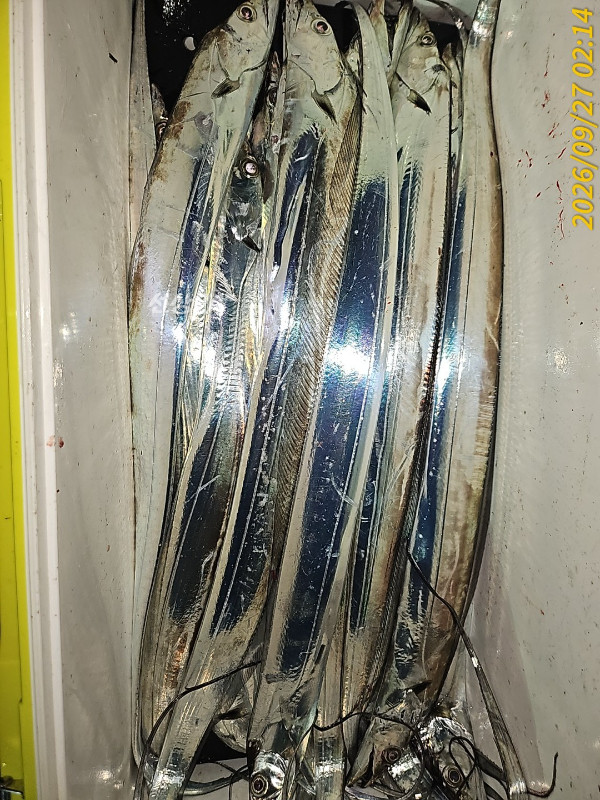 1000034910.jpg